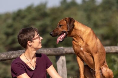 Alles rondom emigratie naar Portugal